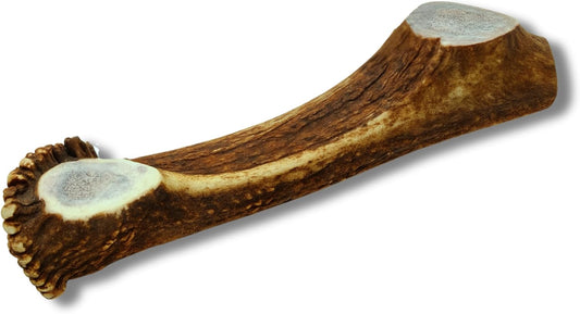 Grade A Premium Quality Elk Antler Dog Chews, Naturally Shed No Preservatives for Mild to Aggressive Chewers, Long Lasting Bone Treat Made in USA (Large Split)