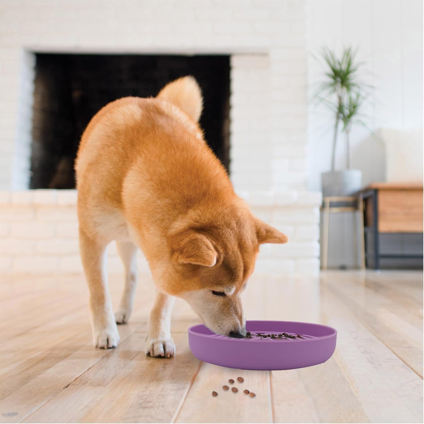 Slow Feeder Dog Bowls, Interactive Silicone Dog Feeding Bowls for Dogs & Cats, Slow Feeder Non-Slip with Suction Cups, Anti-Choking, Non BPA, Reduces Boredom, Anxiety, Dishwasher Microwave Safe