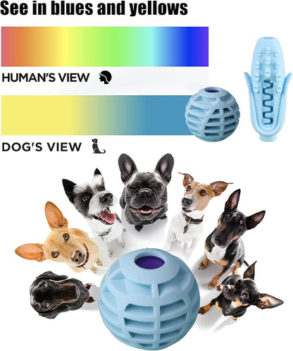 Dog Toothbrush Chew Toy Set, Corn-Shaped Dental Stick & Squeaky Ball for Small, Medium & Large Dogs, Teeth Cleaning, Chew Training, Stress Relief & Interactive Play (Blue)