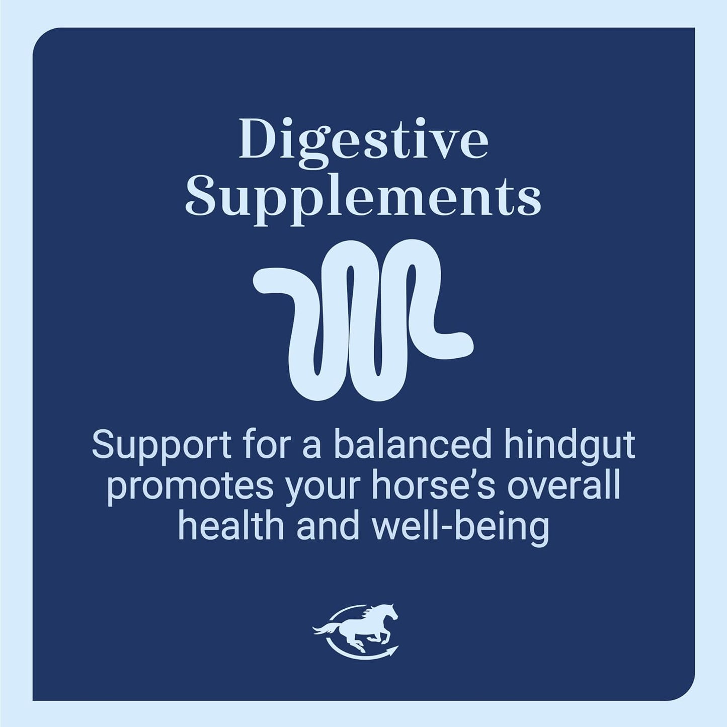 Senior Support SmartPak | Prebiotics and Probiotics | Turmeric Supplement | Flax Seed for Skin & Coat Health | Antioxidant Support for Senior Horses | 28 Days Supply