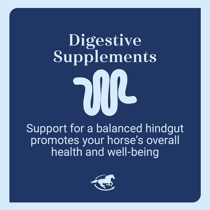 Senior Support SmartPak | Prebiotics and Probiotics | Turmeric Supplement | Flax Seed for Skin & Coat Health | Antioxidant Support for Senior Horses | 28 Days Supply