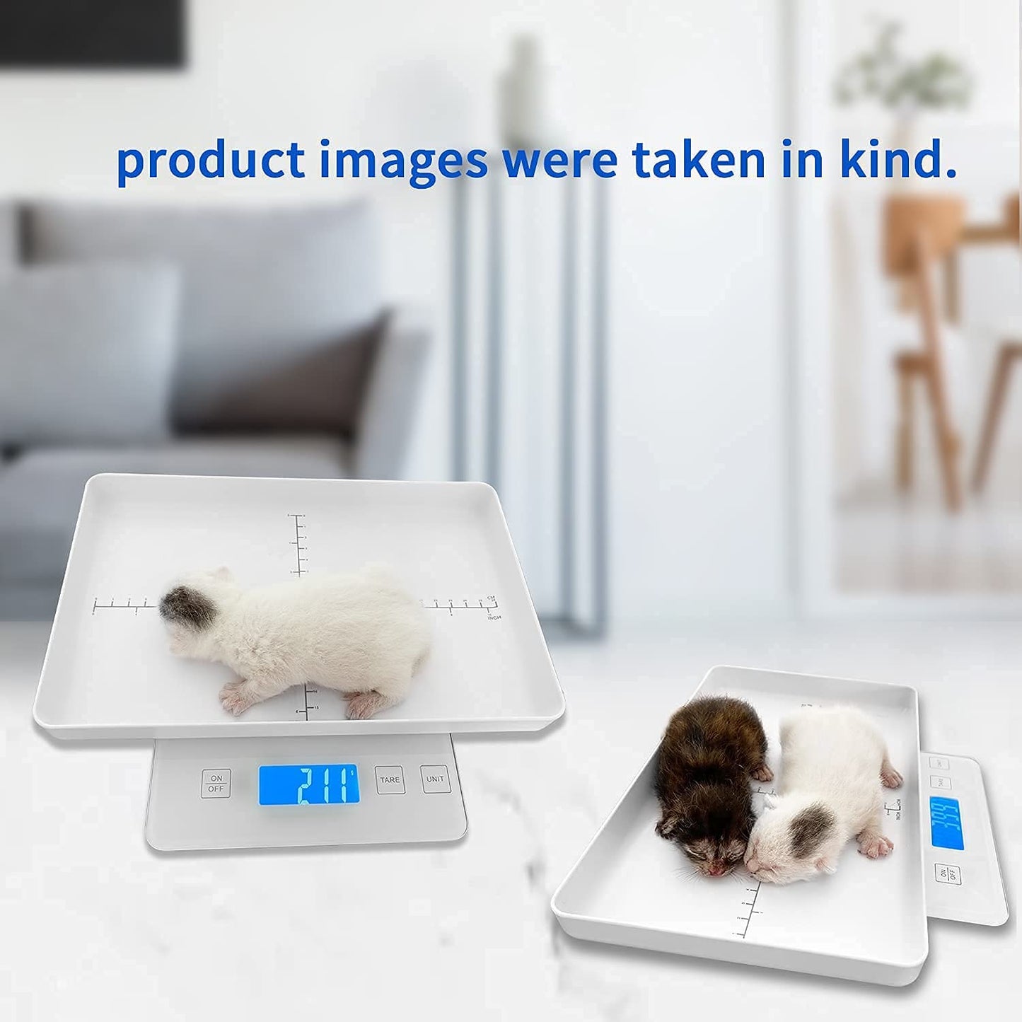 Digital Pet Scale for Small Animal, Whelping Scale,Mini Precision Gram Weight Balance Scale, High Precision 1g, Suitable for Newborn Pets