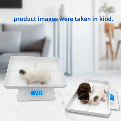 Digital Pet Scale for Small Animal, Whelping Scale,Mini Precision Gram Weight Balance Scale, High Precision 1g, Suitable for Newborn Pets