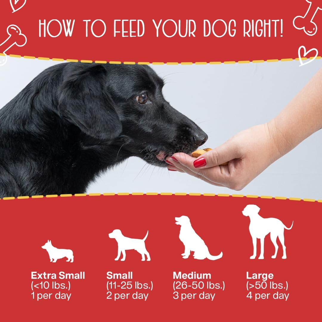 Chewmasters 100% Pure Beef Liver Bites - Healthy Freeze Dried Liver Treats for Dogs of All Life Stages - High Protein Dog Training Treats, Grain Free, All Natural, Zero Additives - Made in USA, 17.6oz