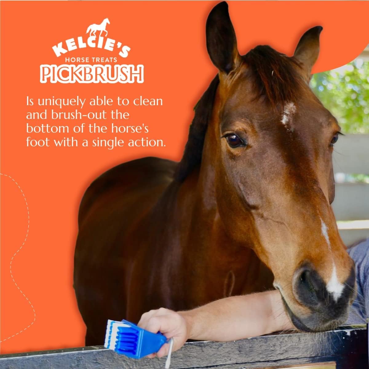 Kelcie's Pick Brush Cleaning Tool - Easy To Use Slip-Proof Grooming Brush For Horses With Great Grip