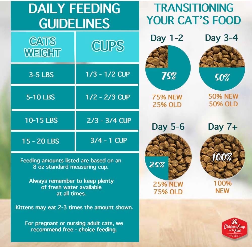 Chicken Soup for the Soul All Natural Premium Grain-Free All Life Stage Dry Cat Food, Real Meat First Ingredient, No By-Products, Supports Immune & GI Health, Chicken & Legumes, 4lb