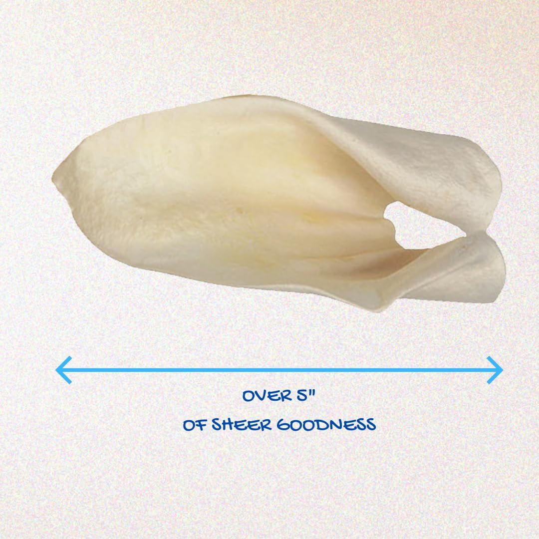 Brazilian Pet 100% Natural - Over 5 inches- Real Cow Ears Prime Dog Chews, Free Range Grass Fed Cattle (100 Count)