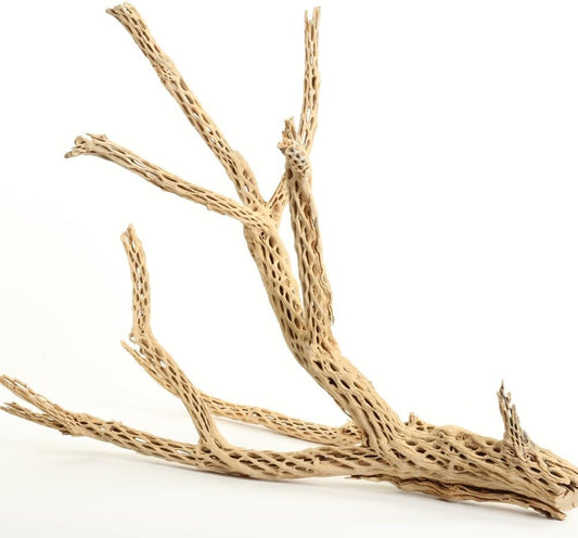 Koyal Wholesale 24" Cholla Wood Aquarium Leopard Gecko Tank Accessories Untreated Large Driftwood for Aquarium Wood Hermit Crab Accessories Drift Wood for Shrimp Tank Gecko Accessories