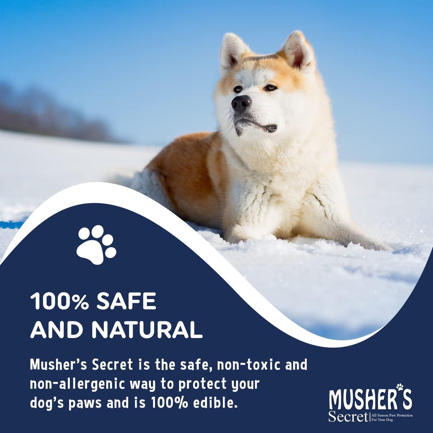 Musher's Secret Dog Paw Wax 60g – Moisturizing Dog Paw Balm – Helps Protect & Heals Cracked Paws – Creates an Invisible Paw Protectors Barrier – All-Natural Nose & Paw Balm with Vitamin E