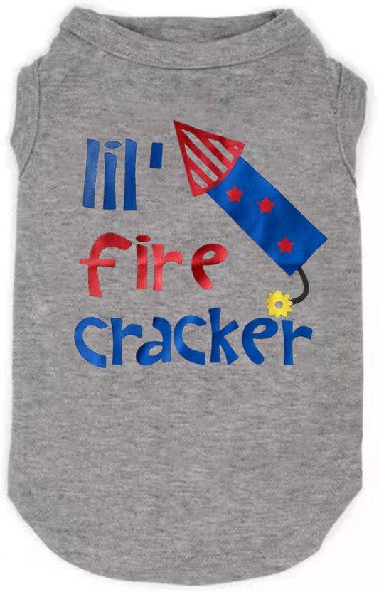 American Flag Popsicle 4th of July Funny Graphic Puppy Clothes Memorial Day, Independence Day, Holiday Dog Clothes for Small Dogs Boy Girl, Pet Cat Outfit (X-Small, Firecracker)