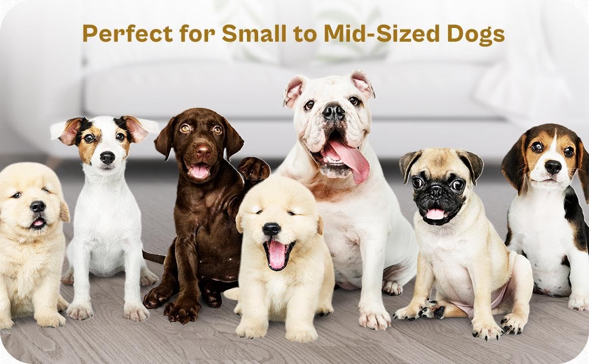 2 Ceramic Slow Feeder Dog Bowls for Small & Medium Dogs – Heavy Puzzle Maze Ceramic Dog Bowl for Fast Eaters to Stop Bloat, Vomiting & Choking – Non-Slip, Healthier and Easy-to-Clean