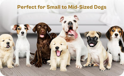 2 Ceramic Slow Feeder Dog Bowls for Small & Medium Dogs – Heavy Puzzle Maze Ceramic Dog Bowl for Fast Eaters to Stop Bloat, Vomiting & Choking – Non-Slip, Healthier and Easy-to-Clean