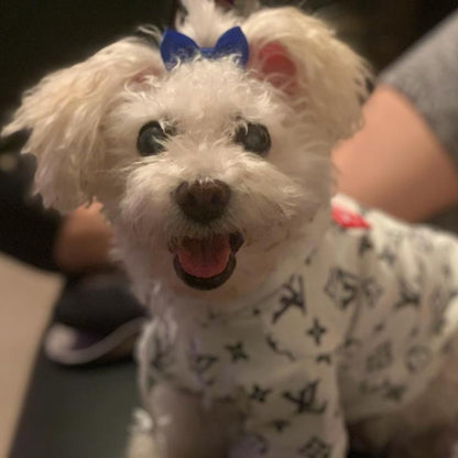 Puppy Dogs Hair Barrettes Bows with Rubber Bands,Hair Accessories Bow Pet Grooming Cute Pet Small Hair Bowkno