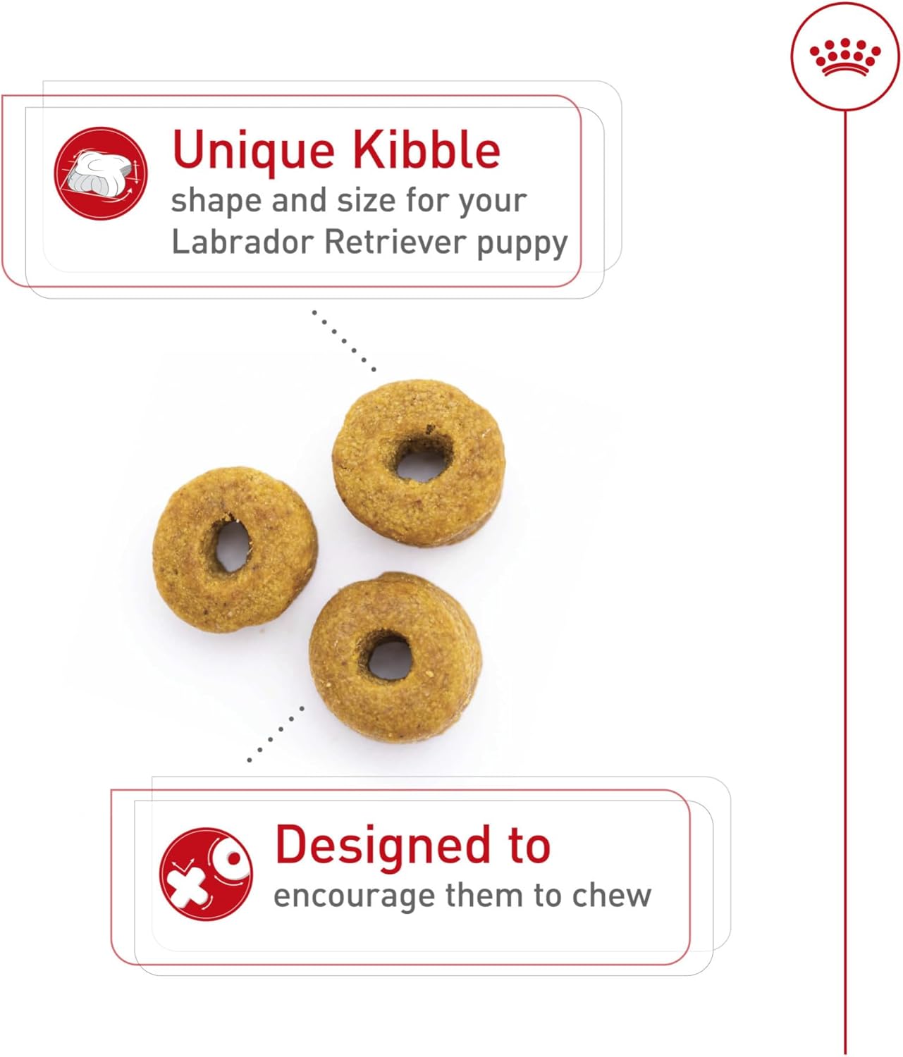 Royal Canin Breed Health Nutrition Labrador Retriever Puppy Dry Dog Food, 2.5 lb Bag