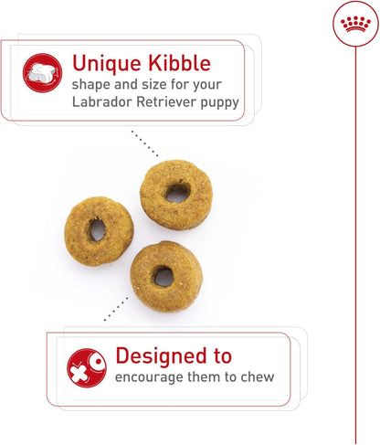 Royal Canin Breed Health Nutrition Labrador Retriever Puppy Dry Dog Food, 2.5 lb Bag