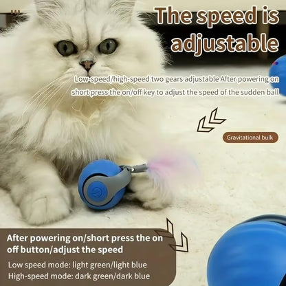 Bytewave Speedy Tail 3.0 is a Smart, Rolling cat Toy with 360° Motion, Feather Tails, and USB Charging. Two Modes Keep Indoor Cats Active, Entertained, and Engaged. Includes red and Blue Balls. (Blue)