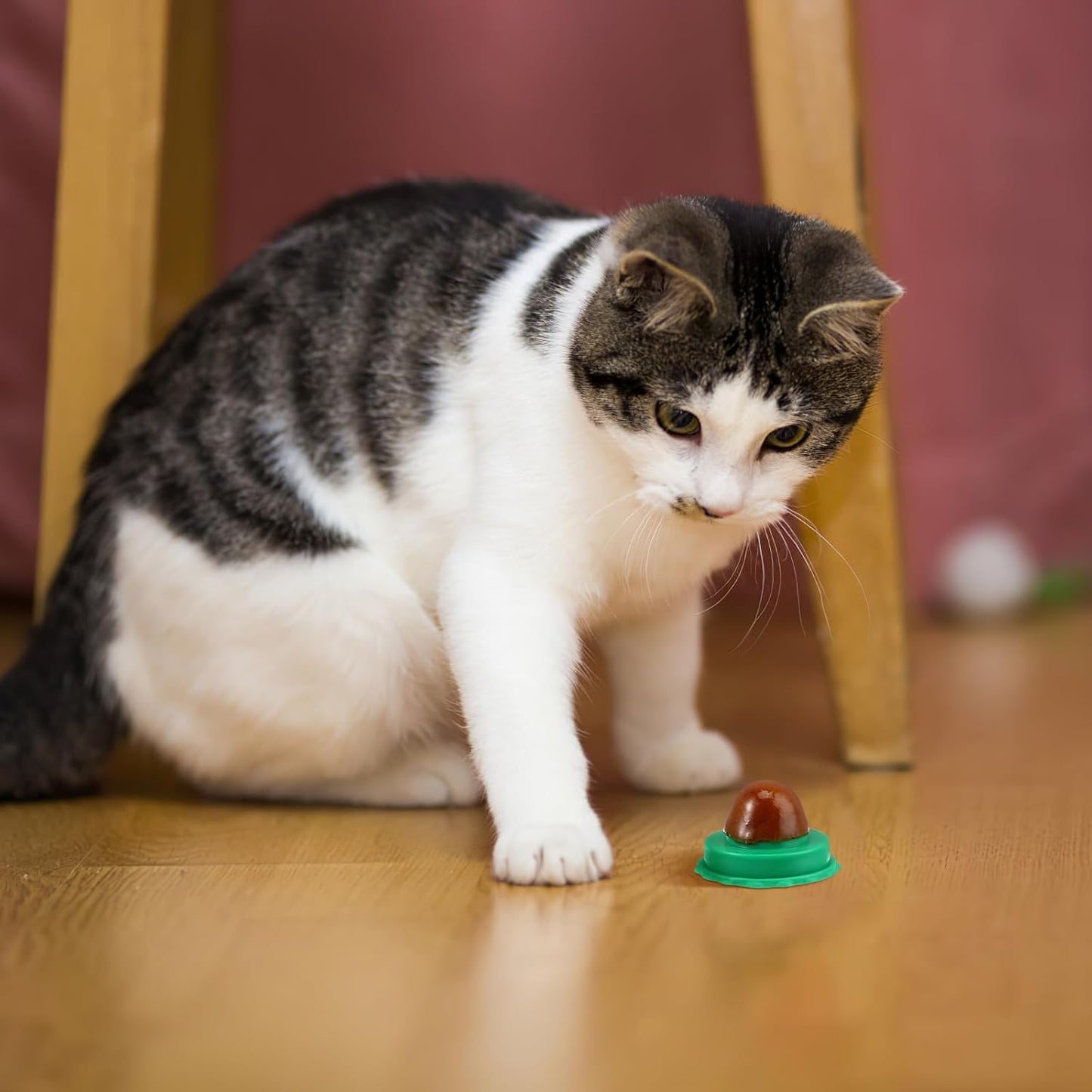 DOITOOL 9 Pcs Cat Catnip Balls Cat Nip Balls Wall, Kitty Teeth Cleaning Lickable Treats Stick to Wall, Pet Kitten Licking Candy Chew Toys