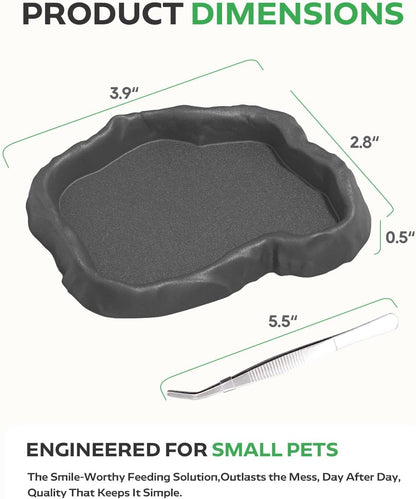 2Pcs Snail Food and Water Bowl, Reptile Water Dish and Food Bowl, Natural Design Terrarium Feeding Dish for Garden Snails, Hermit Crab, Lizard, Frog, Gecko (Black)