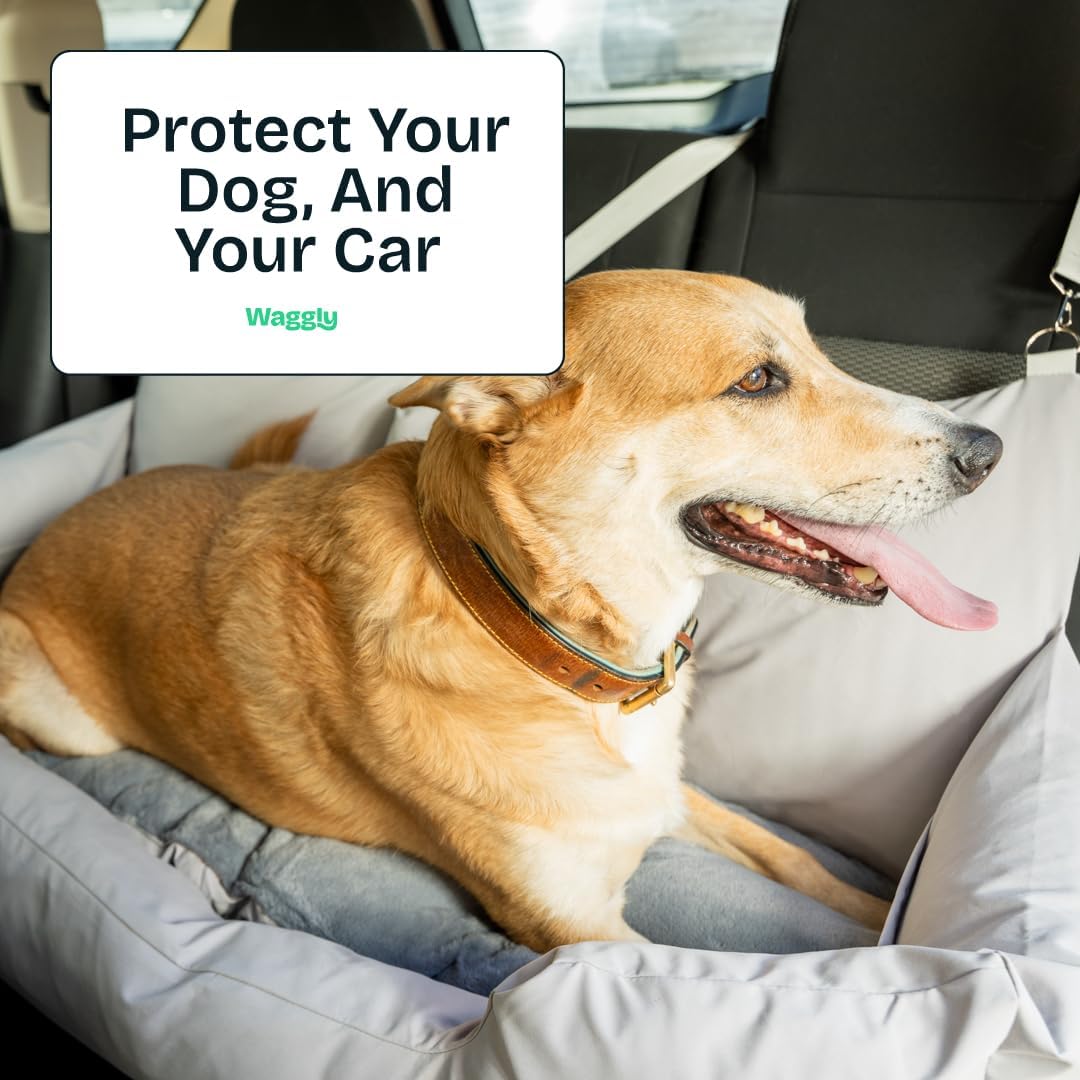 Large Dog Car Seat for Back Seat Travel | Dog Car Bed for Large Dogs with Safety Straps & Cushion Support by Waggly