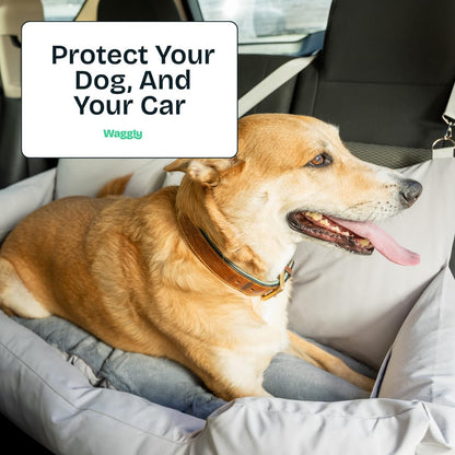Large Dog Car Seat for Back Seat Travel | Dog Car Bed for Large Dogs with Safety Straps & Cushion Support by Waggly