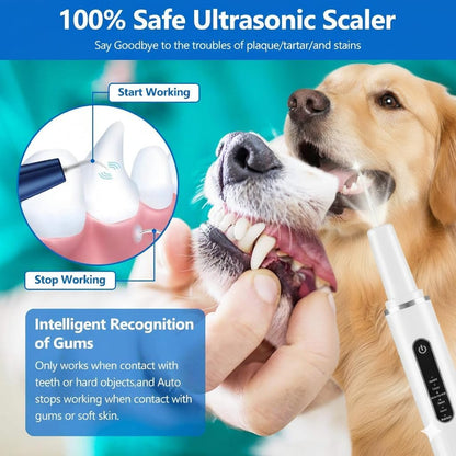 KT Dog Teeth Cleaning Kit for Small & Large Dogs – Complete Pet Dental Care Set with Enzymatic Toothpaste, Dual-Head & Finger Toothbrush – Plaque & Tartar Remover, Fresh Breath Oral Hygiene Solution