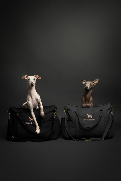 Noah & Paw Dog Car Seat Carrier, Small Dog Car Seat for Small Medium Pets with Harness Clip, 4X Safety Feature, Booster Travel Bed, Waterproof Washable, Orthopedic Foam Filling, Canvas Collection