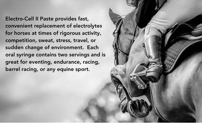 MVP Electro-Cell II Electrolyte Paste (2 dose tube) with probiotics for Horses