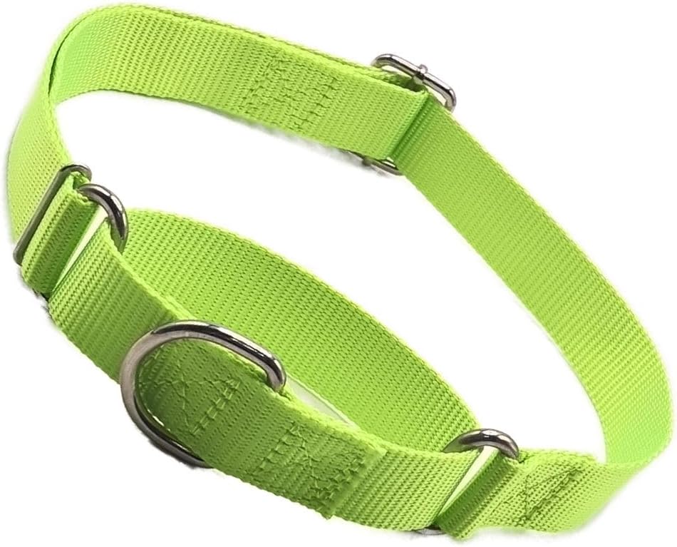 Green Martingale Collar for Dogs, No Pull Dog Choker Collar for Dogs No Slip Training Collars for Small Medium Large Dog, S