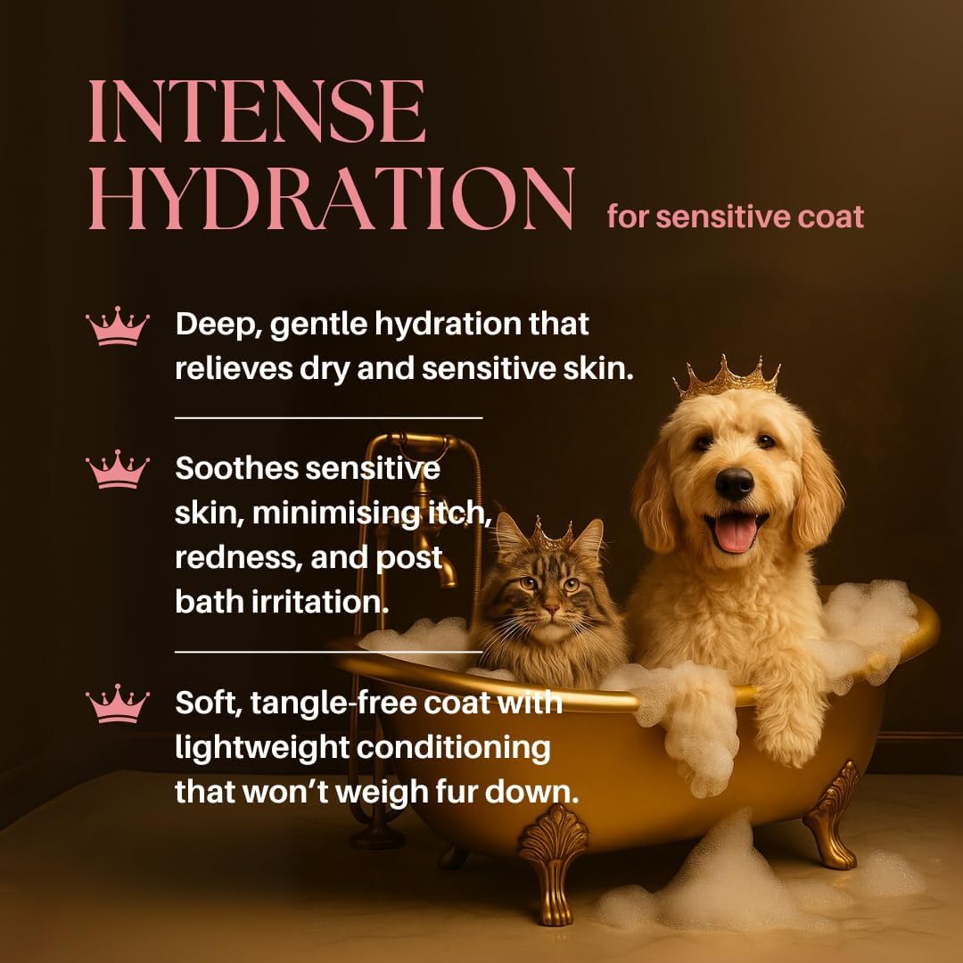 Barkin & Meowson MedExpert Hypoallergenic Intensive Hydration Conditioner 350ml / 11.83 fl.oz  for Sensitive Skin, Dogs and Cats - Fragrance Free