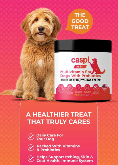 Caspi 10-in-1 Dog Multivitamin with Probiotics – Joint Health, Itching & Skin Relief, Omega-3 Salmon Oil, Glucosamine, Vitamins & Minerals – Daily Chew Supplement for Dogs – 160 Soft Chews