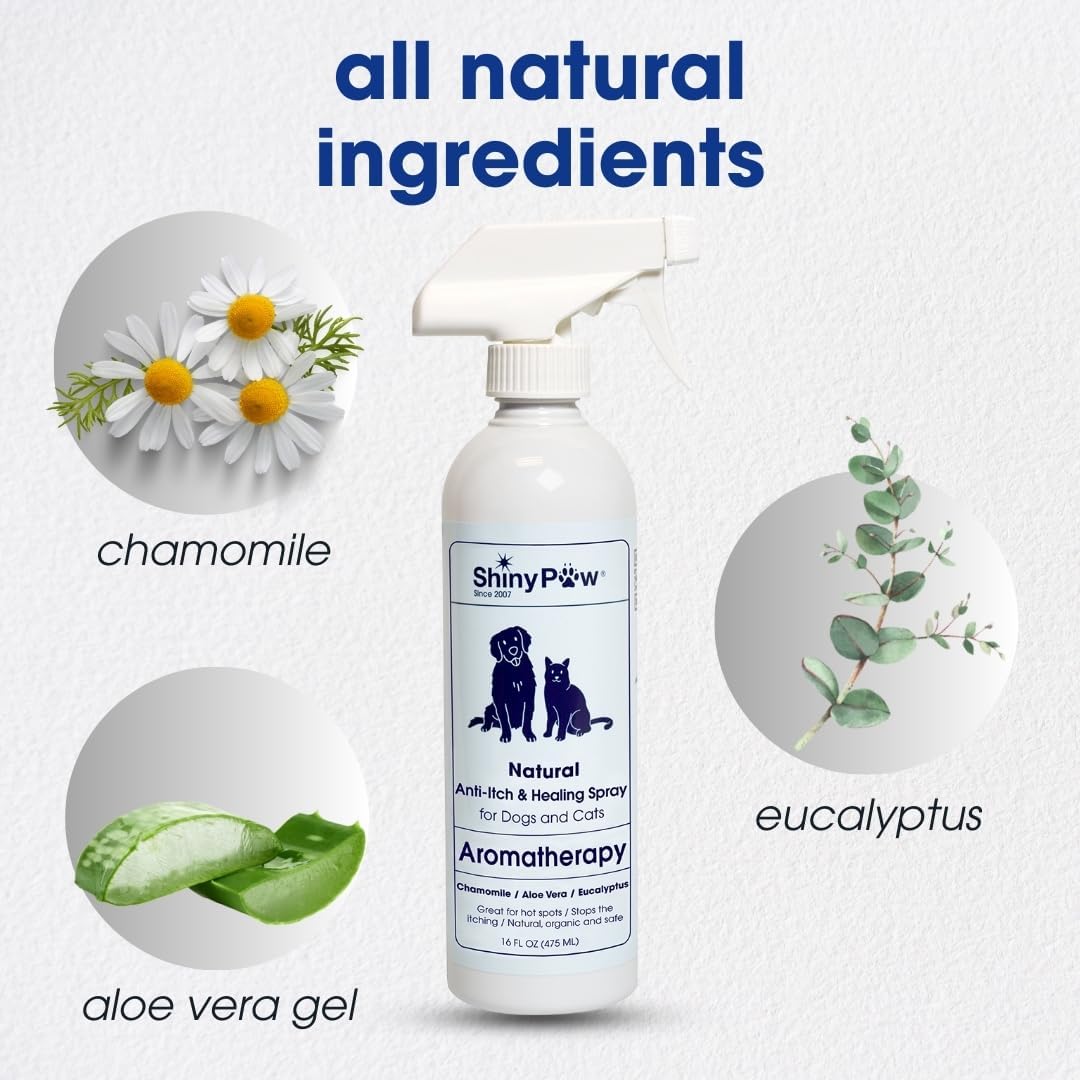 Dog Itch Relief Spray by Shiny Paw 16 oz | Aloe Vera & Eucalyptus Skin Itch Remedy | Dog Hot Spot Spray | Natural Anti Itch Spray for Pets | Dog Itchy Skin Relief | Made in USA