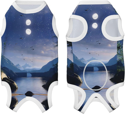 A Shimmering Bay Dog Surgery Suit Recovery Suit, 100% Cotton Breathable Full Body Dog & Cat Surgical Suit with Cute Prints, Alternative to Cone for Spay Neuter Wound Care, Male & Female Pets Medium