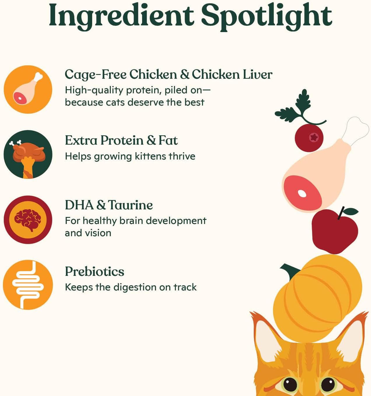 Made by Nacho Kitten Dry Kibble Infused with Bone Broth, Healthy High Protein Cat Food, Cage-Free Chicken and Chicken Liver, 2lb Bag