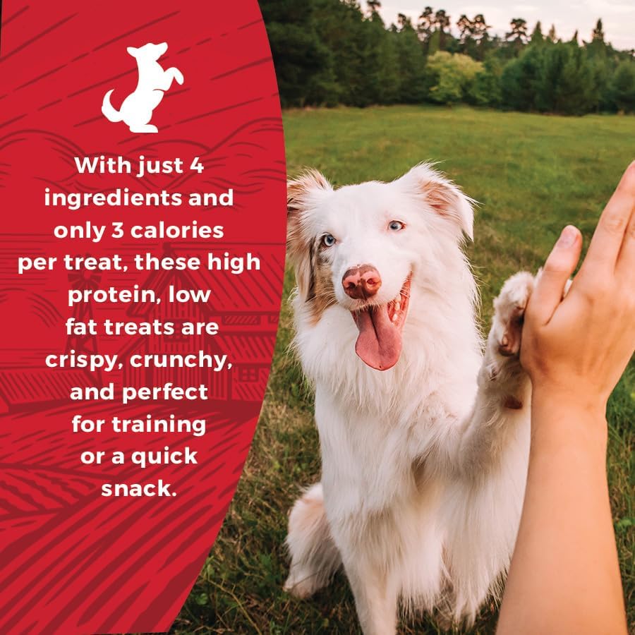 Beef & Bully Collagen Puff Treats for Dogs for Rewarding and Training | 6 oz Bag