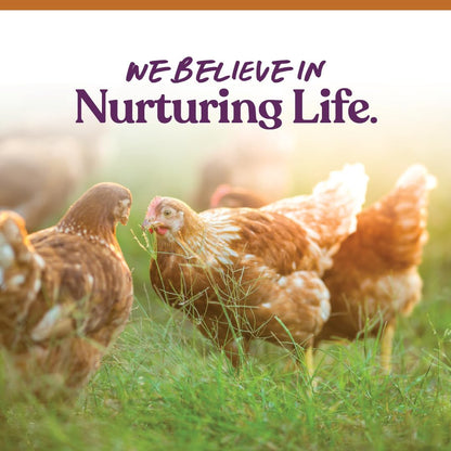 Manna Pro 7-Grain Ultimate Chicken Scratch – Non-GMO Scratch Grain Treat for Chickens, Hens and Other Birds – Natural Multigrain Blend for Poultry and Backyard Flocks – 10 lb Bag