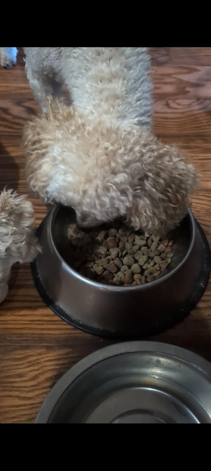 Dog Dental Care Powder - Natural Dog Teeth Cleaning & Breath Freshener | Herbal Blend + Probiotics Lab Tested Oral Care Formula for Fresh Breath & Clean Teeth | Oral Health Supplement (60 Servings)