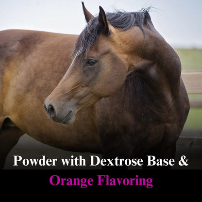 SU-PER Stress-Ex Horse Electrolyte Supplement - Maintain Normal Body Fluid Levels - Electrolytes Replenishment for Hydration - 4 Pound, (2 Pack)