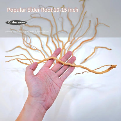 Azil Natural Aquarium Driftwood Root – Driftwood for Aquarium Decor, 170g (14″–16″), Fish Tanks, Terrariums, Aquascaping & Planted Tanks