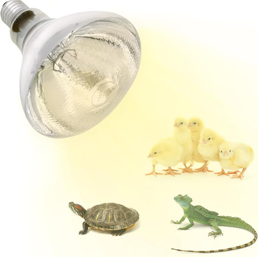 Heat Lamp Bulbs for Chickens Infrared Heat Lamp 250W Incandescent Spotlight for Brooder Coops Pets Chicks Reptiles Food Service (2 Packs)