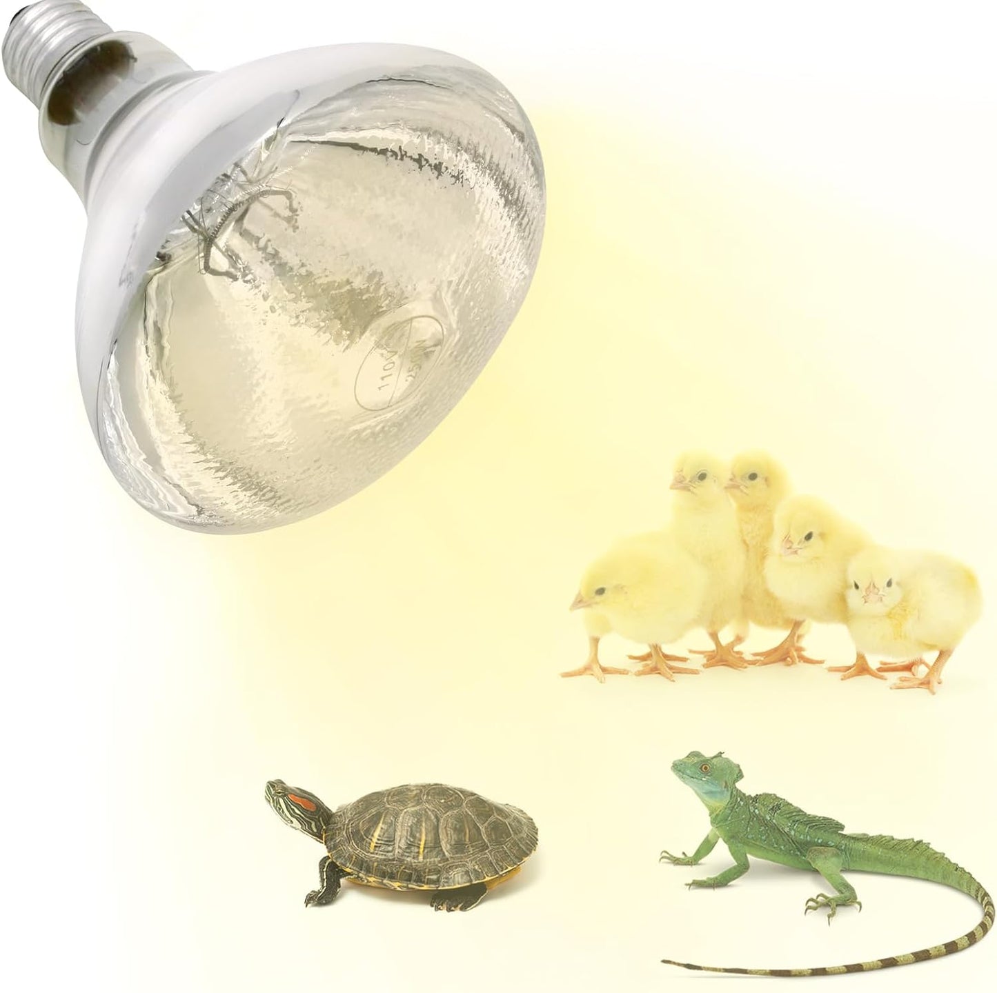 Heat Lamp Bulbs for Chickens Infrared Heat Lamp 250W Incandescent Spotlight for Brooder Coops Pets Chicks Reptiles Food Service (2 Packs)