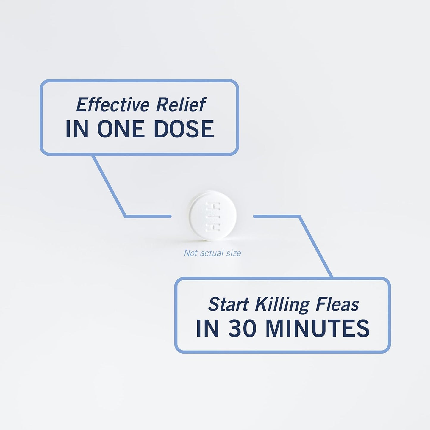 PetArmor CAPACTION (nitenpyram) Oral Flea Treatment for Cats, Cat Flea Treatment Pill, Fast Acting Tablets Start Killing in 30 Minutes, 2-25 lbs, 6 Doses