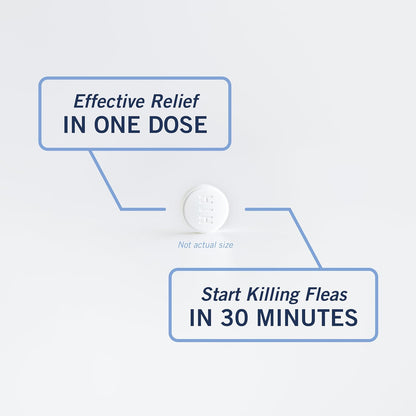 PetArmor CAPACTION (nitenpyram) Oral Flea Treatment for Cats, Cat Flea Treatment Pill, Fast Acting Tablets Start Killing in 30 Minutes, 2-25 lbs, 6 Doses