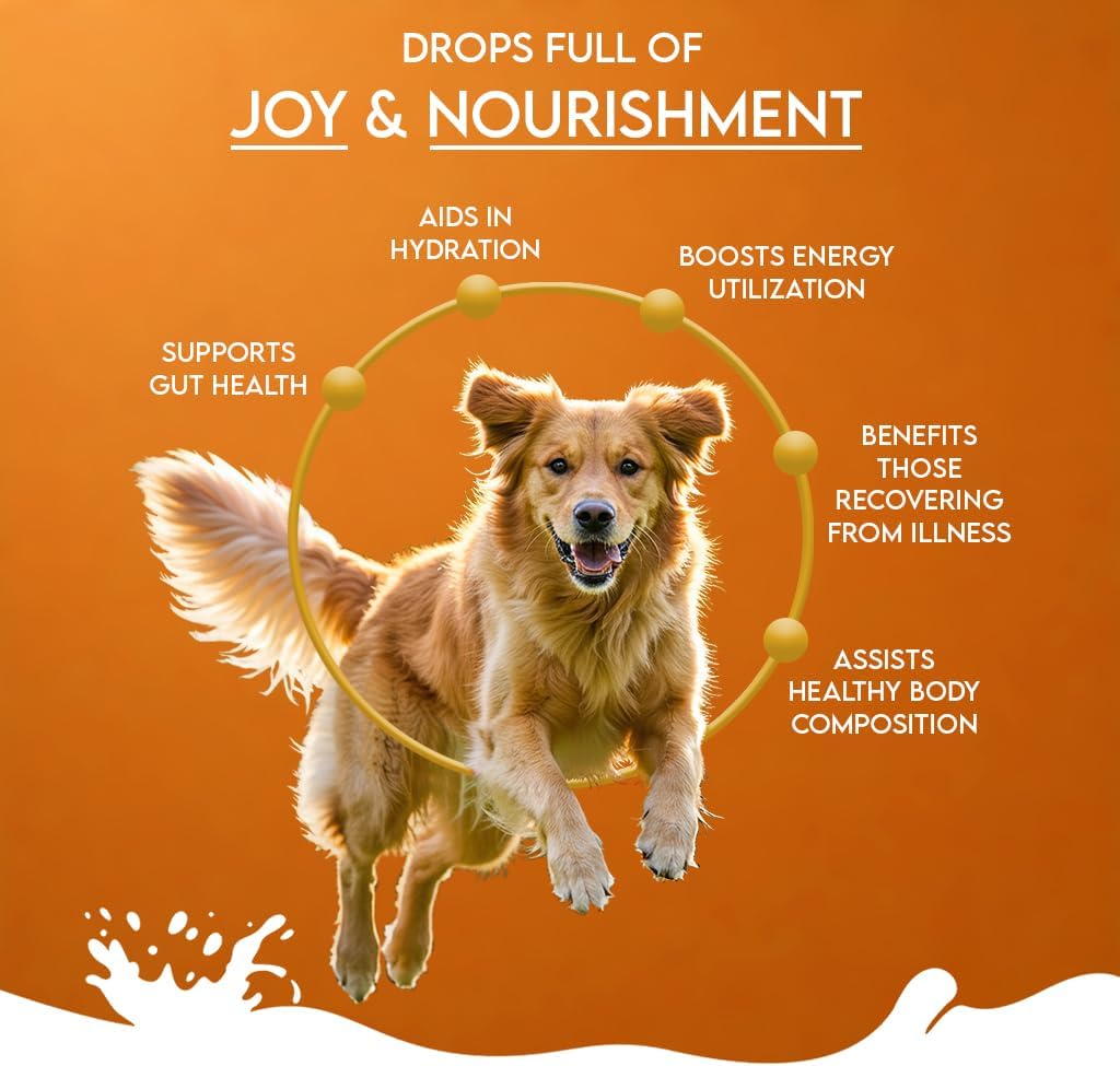 Pawfect Nature's Sip Goat Milk Powder with Pumpkin, Apple, Cinnamon & Pumpkin Seeds| Easily Digestible| Pre & Probiotics| Healthy Topper| Hydration Support| 24 Scoops| (120g/4.23oz)