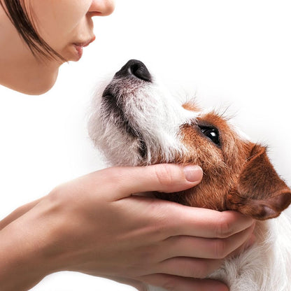 Pet Greens Treats Tasty Beef Semi-Moist Dog Treat 6oz