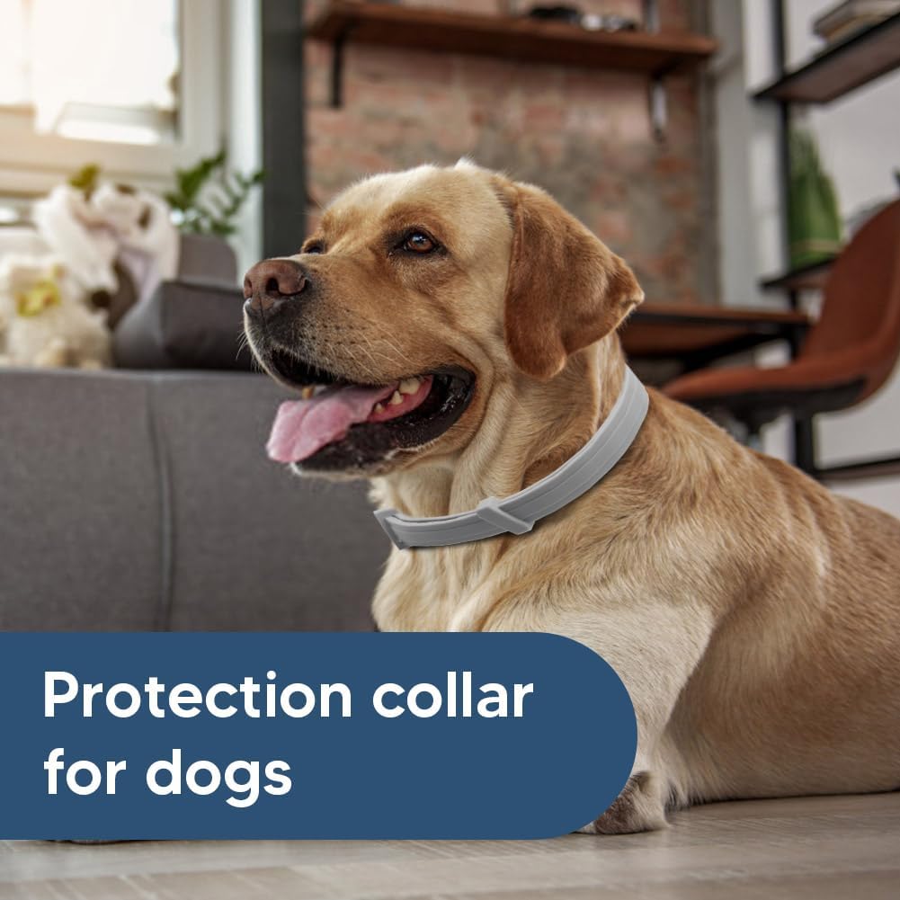 Flea Collars for Dog, Flea & Tick Collar for Dogs, Tick Collar for Large Dogs, Upgraded Sturdy & Adjustable 8 Months Prevention-Pack of 2