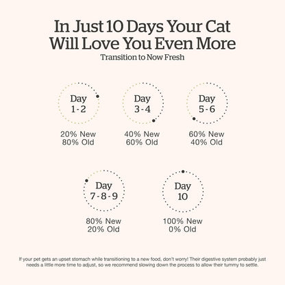 Now Fresh Grain-Free Senior Dry Cat Food with Turkey, Salmon & Duck, Premium Kibble Made with Real Meat & Fish, Chicken-Free Recipe, Supports Healthy Weight Management, 16 lb Bag