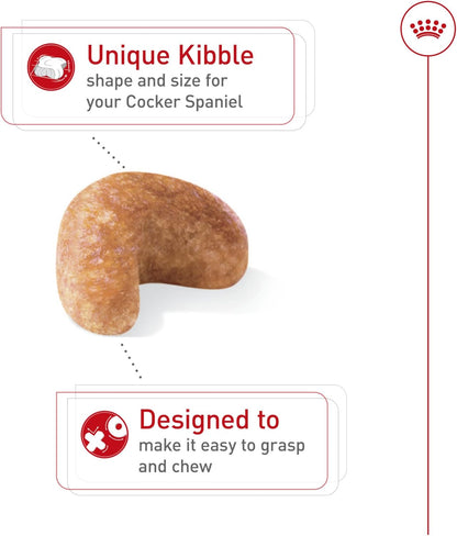 Royal Canin Breed Health Nutrition Cocker Spaniel Adult Dry Dog Food, 6 lb Bag