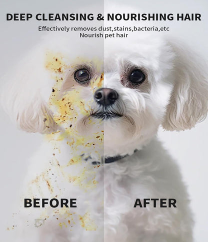 AQUASAFE Pet Bath & Cleaning Gloves for Allergy Prevention & Deodorizing | Thick, Moisturizing Wipes with Aloe & Vitamin E | No Rinse Needed for Daily Care, Travel, Grooming(12PCS)