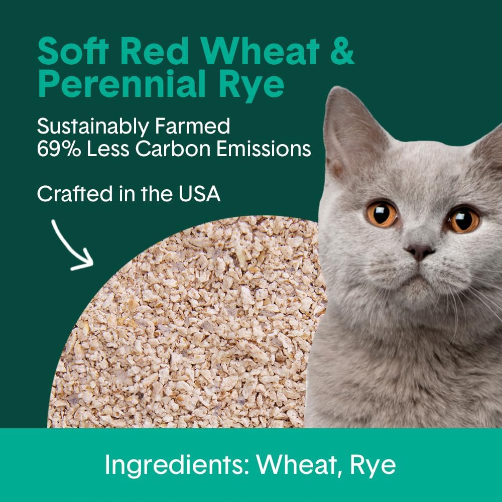 Boxie® Eco™ Farm to Box Sustainable 30 Day Odor Control Clumping Cat Litter, 6.5lb Boxiecat 99.9% Dust Free Plant-Based Kitty Litter