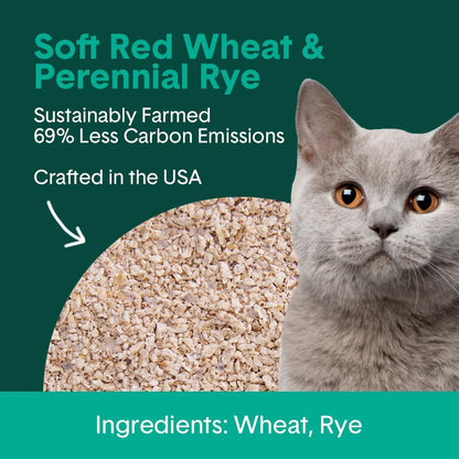 Boxie® Eco™ Farm to Box Sustainable 30 Day Odor Control Clumping Cat Litter, 6.5lb Boxiecat 99.9% Dust Free Plant-Based Kitty Litter
